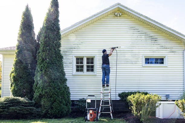 Best Gutter Cleaning  in Eerlin, ND